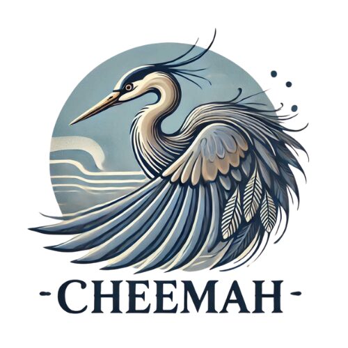 CHEEMAH ON SOUTH MAIN LLC